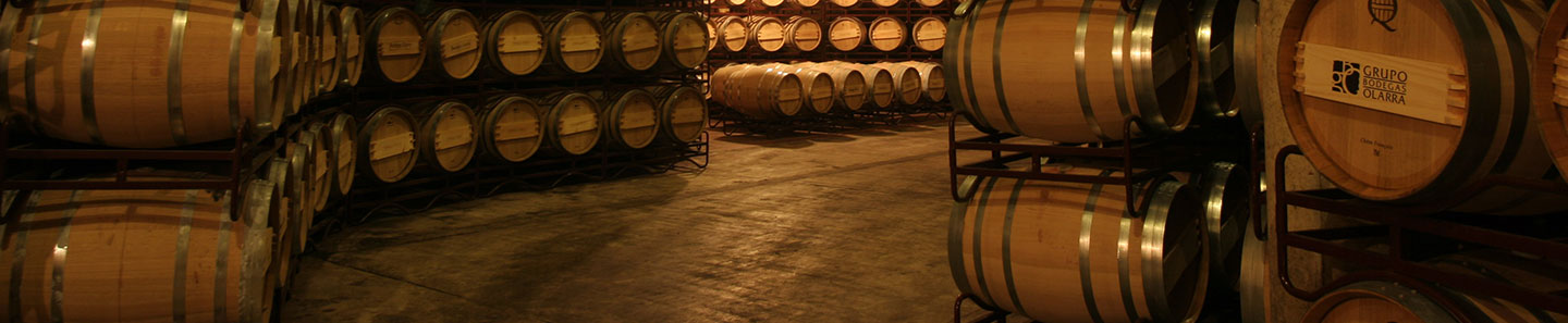 Bodegas Olarra