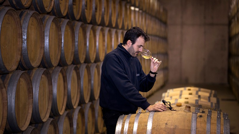 Bodegas Solagüen