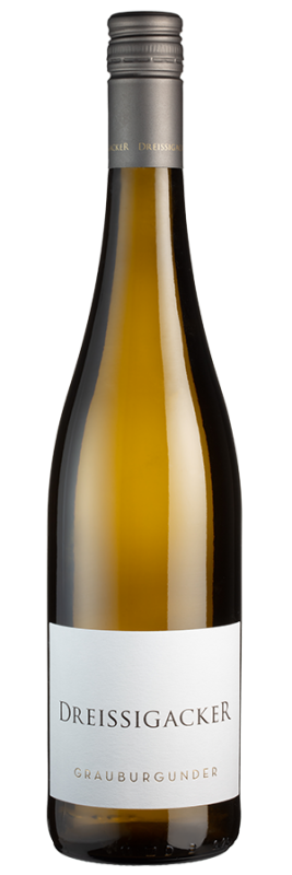 Image of Grauburgunder trocken Bio (2023) - Dreissigacker - Weißwein aus Rheinhessen, Deutschland