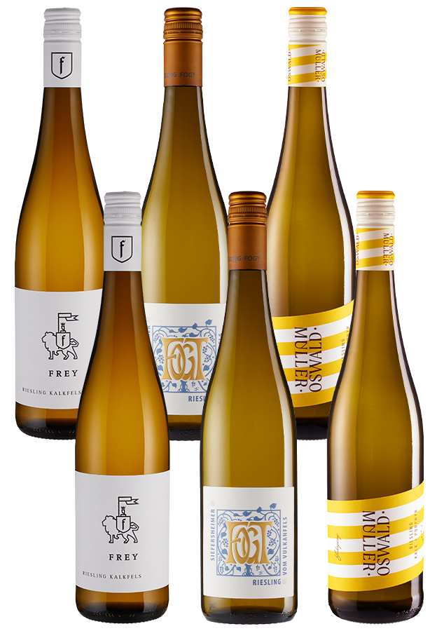 6er-Paket Riesling 