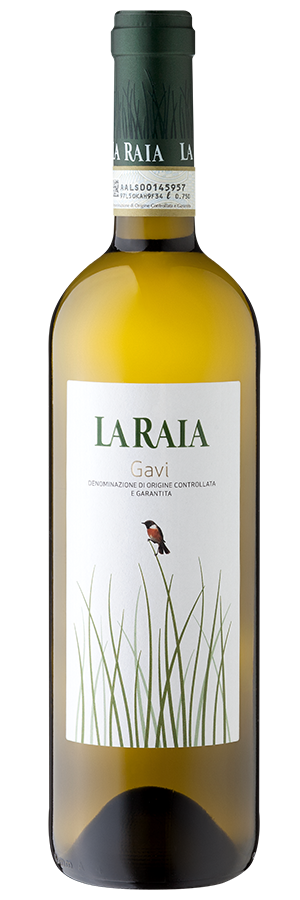 Gavi (Bio) 2023