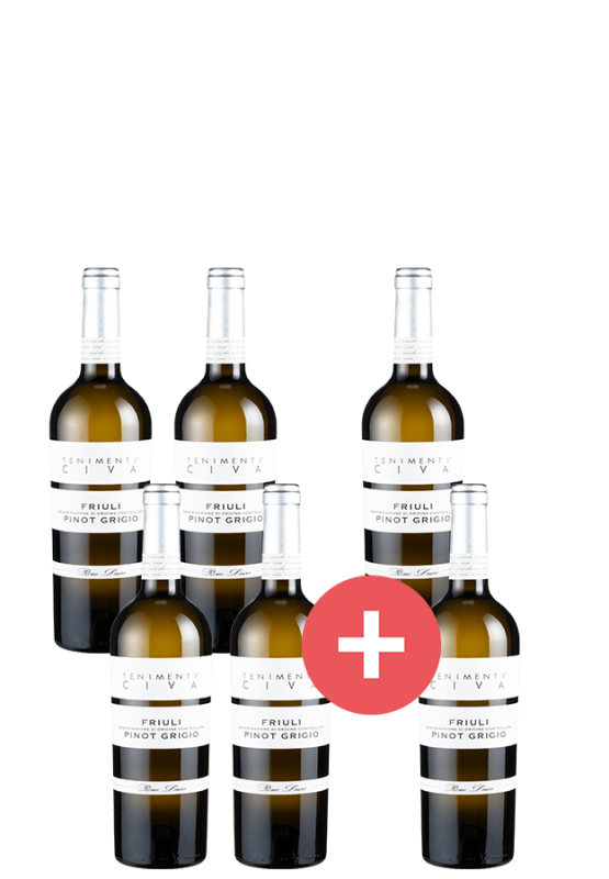 Image of 4+2-Paket Pinot Grigio Tenimenti Civa - Weinpakete aus Italien