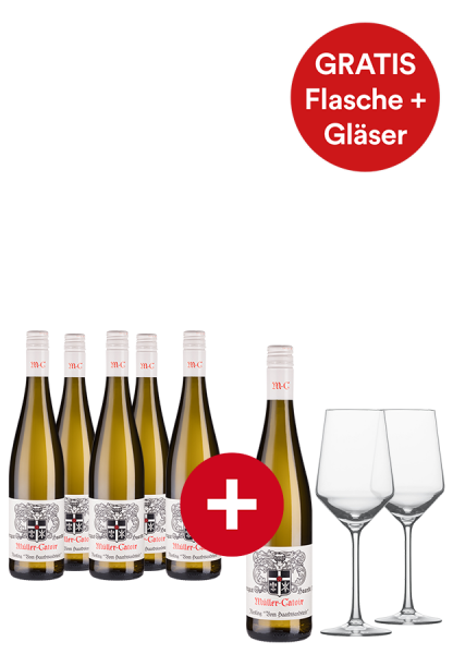 5+1-Paket Riesling "Vom Haardtsandstein" Müller-Catoir inklusive 2 Schott Zwiesel Weißweingläser - Weinpakete