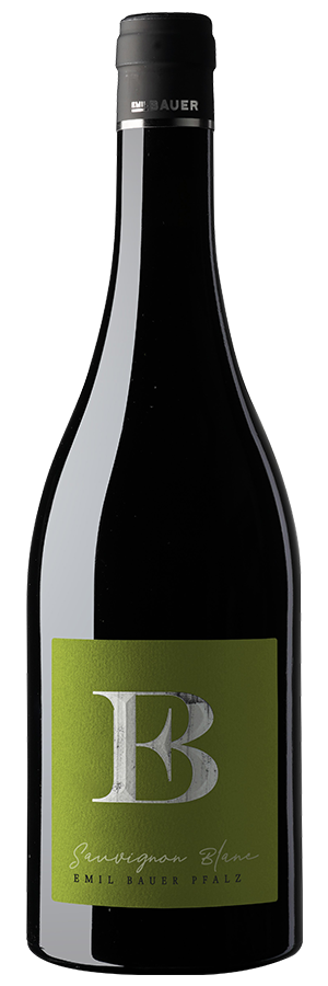 Sauvignon Blanc Nussdorf 2024