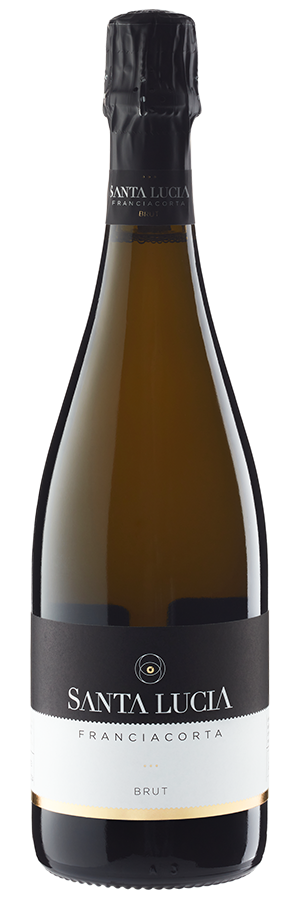 Franciacorta Brut NV (Bio) 