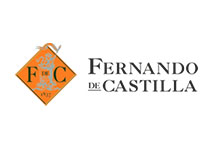 Rey Fernando de Castilla