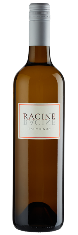 Image of Racine Sauvignon Blanc (2023) - Vinovalie - Weißwein aus Frankreich