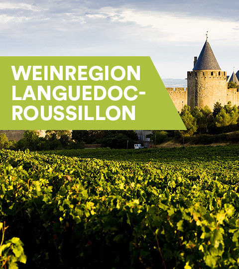 Weine aus dem Languedoc-Roussillon