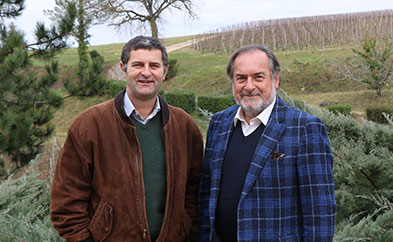 Château Réaut