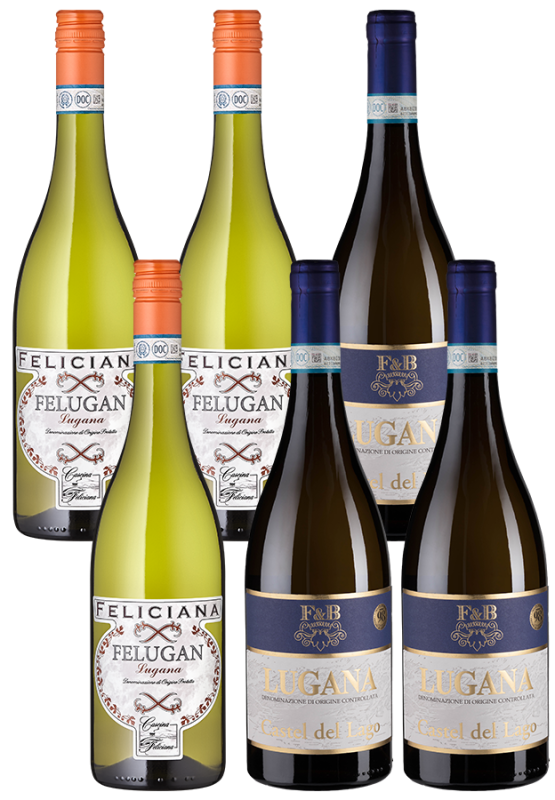 Image of 6er-Probierpaket Lugana - Weinpakete