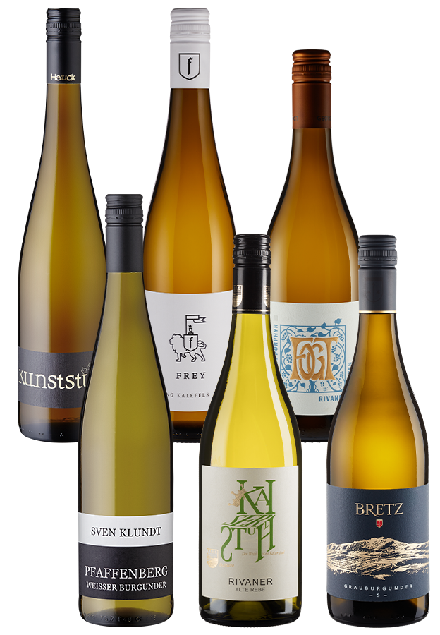 6er-Paket Deutsche Rebsortenviefalt 