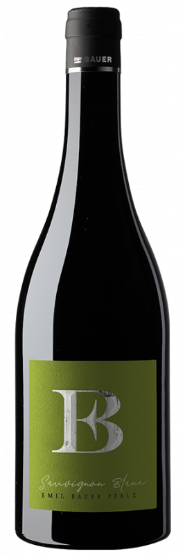 Image of Sauvignon Blanc Nussdorf (2024) - Emil Bauer - Weißwein aus der Pfalz, Deutschland
