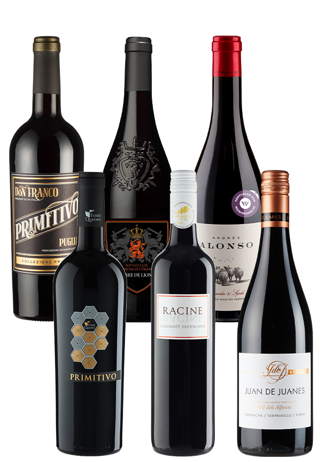 6er-Kennenlernpaket Rotwein-Favoriten 