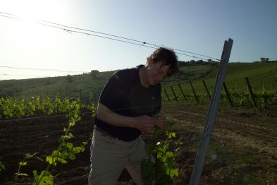 Azienda Agricola Poggio Nibbiale