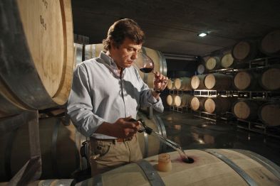 Bodega Atamisque