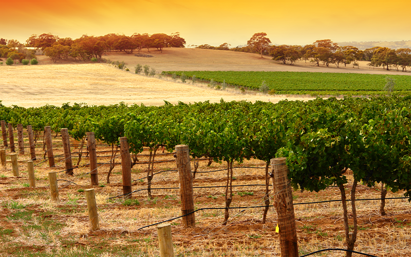 Weinland Australien
