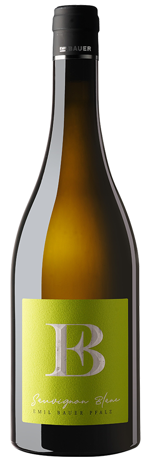 Sauvignon Blanc Nussdorf 2024