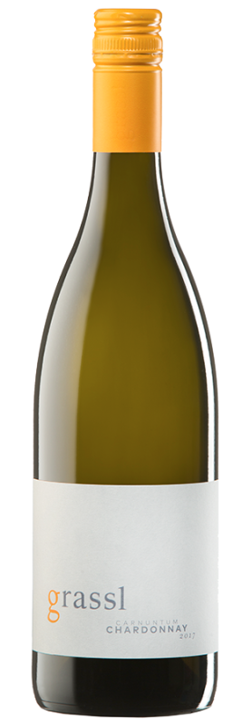 Chardonnay (Bio) 2023