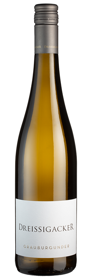 Grauburgunder trocken (Bio) 2023
