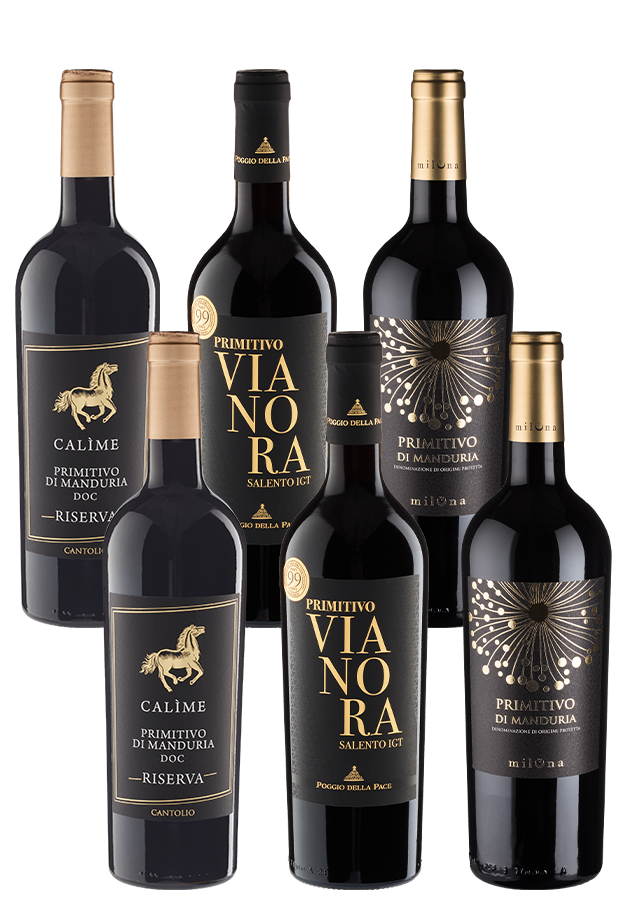 6er-Paket Primitivo-Champions 