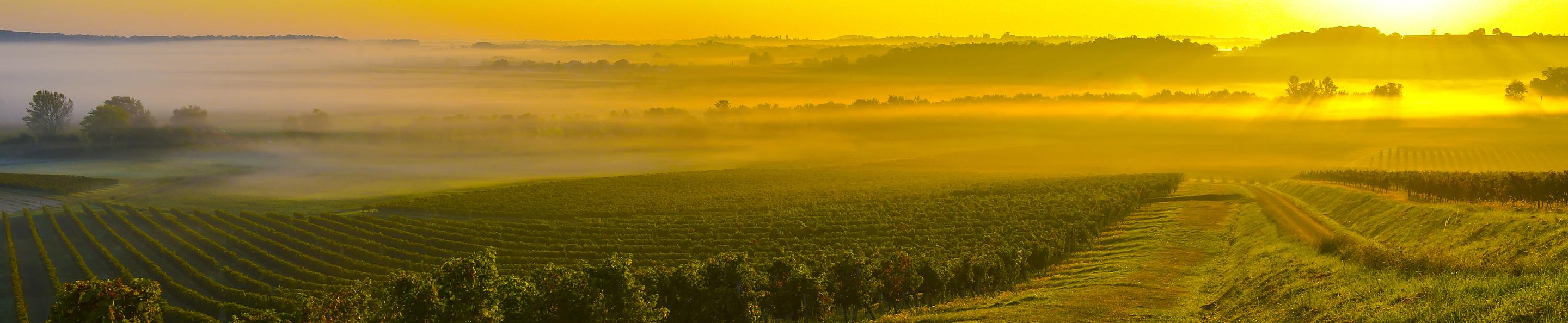 Cheval Blanc