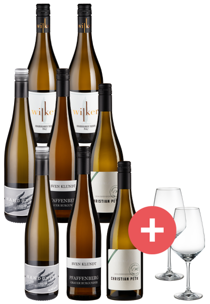 8er-Paket Grauburgunder Tipps + 2er-Set Schott-Zwiesel Taste Gläser - Weinpakete