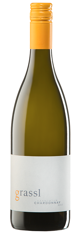 Chardonnay (Bio) 2023