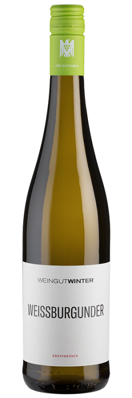 Image of Weißburgunder trocken (2023) - Winter - Weißwein aus Rheinhessen, Deutschland