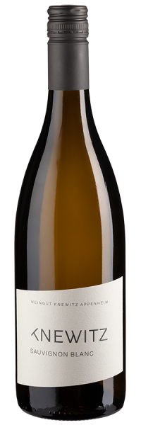 Sauvignon Blanc trocken - 2019 - Knewitz - Deutscher Weißwein