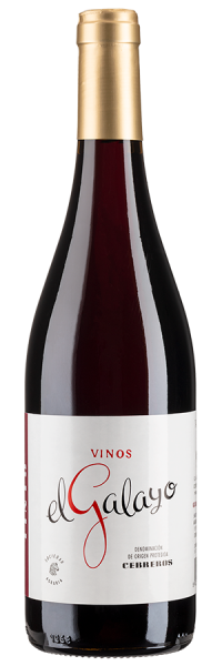 El Galayo Tinto - 2018 - Bodegas Cebreros - Spanischer Rotwein Rotwein 2000014110 Weinfreunde