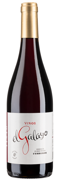 El Galayo Tinto - 2018 - Bodegas Cebreros - Spanischer Rotwein