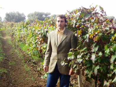 Vigneti Reale