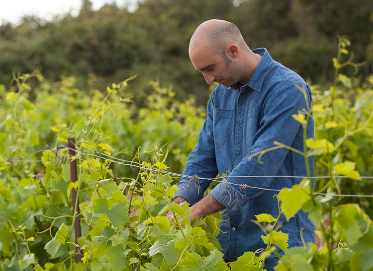 Les Producteurs Réunis