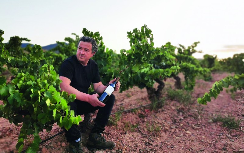 Viñedos y Bodegas Pablo