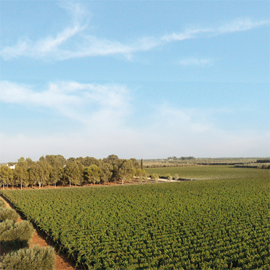 Masseria Altemura