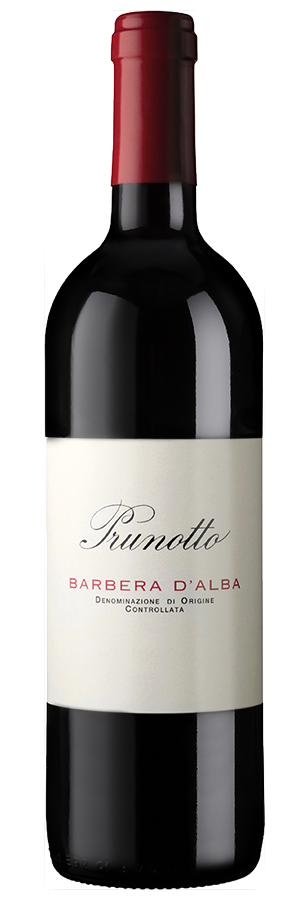 Barbera d'Alba 2021 von Prunotto