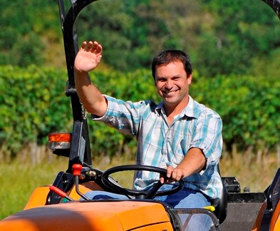 Vignoble Ferret