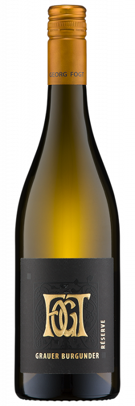 Grauburgunder Réserve trocken (2024) - Fogt - Weißwein aus Rheinhessen, Deutschland - Weinfreunde