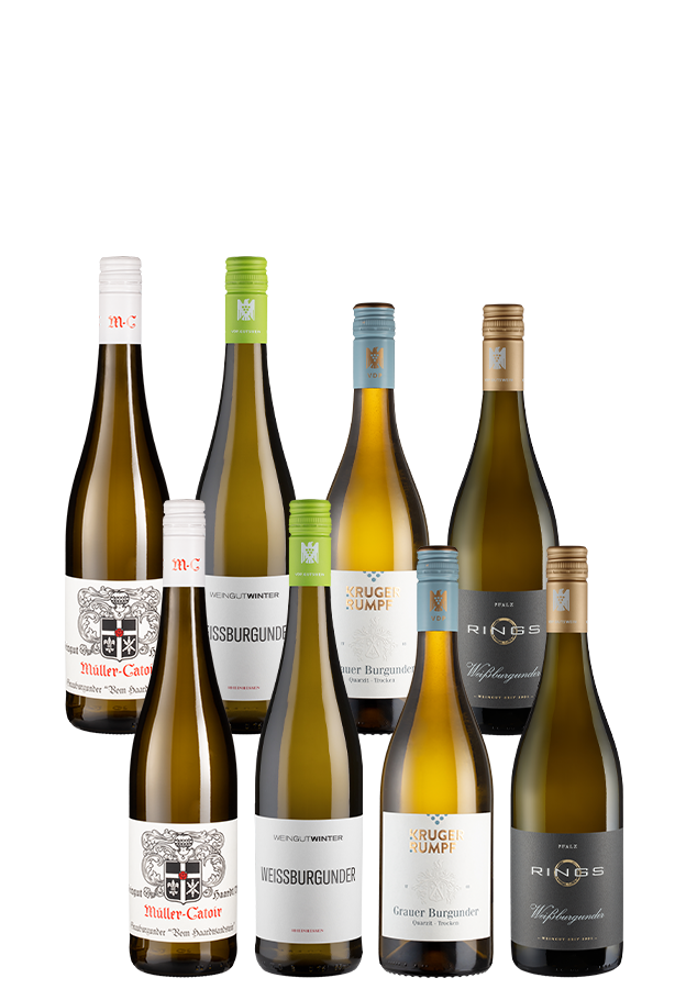 8er-Paket Weißburgunder vs Grauburgunder Premium 