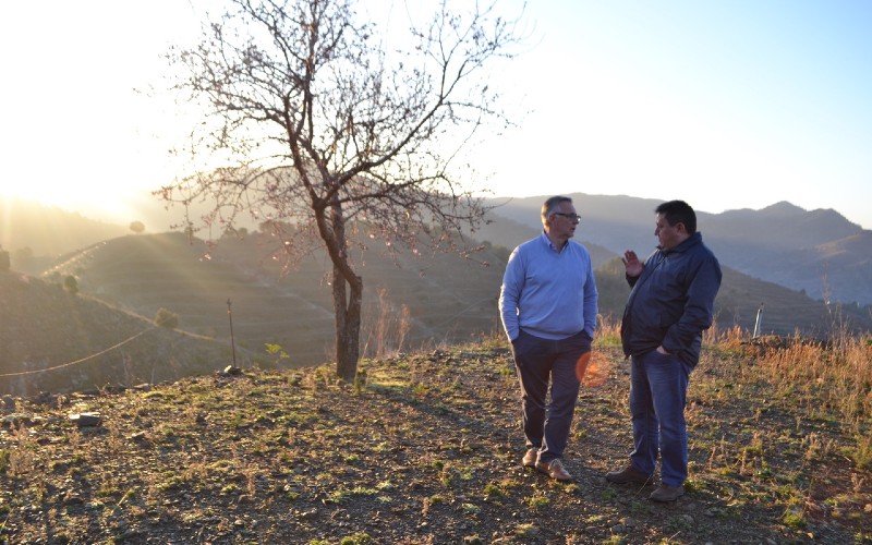 Bodegas Raices Ibericas