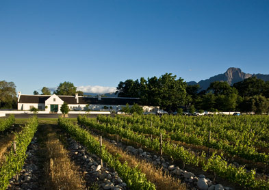 Allée Bleue Wines