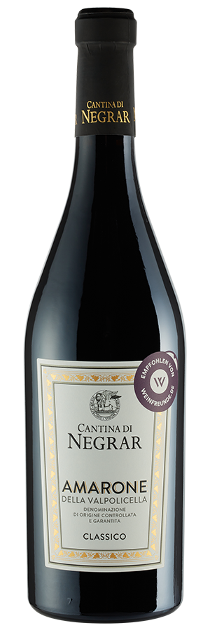 Amarone della Valpolicella 2021