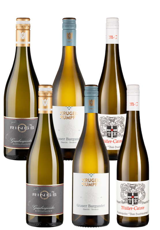 Image of 6er-Paket VDP-Winzer Grauburgunder - Weinpakete