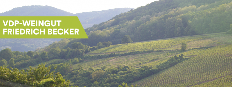 VDP-Weingut Friedrich Becker