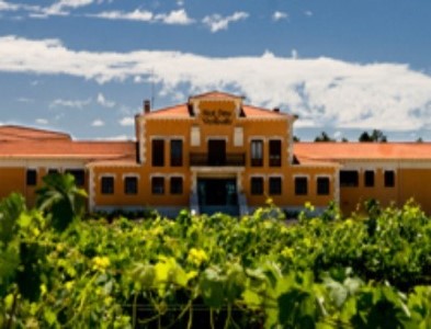Bodegas Prado Rey