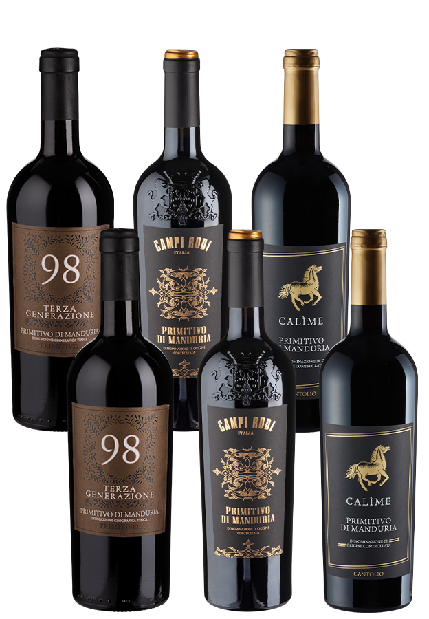 6er-Paket Primitivo di Manduria Verkostungssieger 