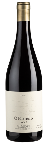 O Barreiro do Xil Tinto - 2019 - Telmo Rodriguez - Spanischer Rotwein Rotwein 2000014378 Weinfreunde