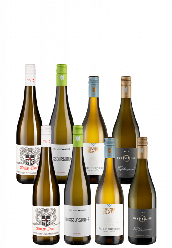 8er-Paket Weißburgunder vs Grauburgunder Premium - Weinpakete - Weinfreunde