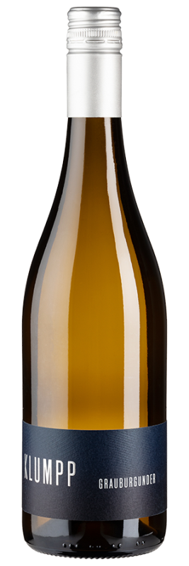 Grauburgunder trocken Bio (2023) - Klumpp - Weißwein aus Baden, Deutschland - Weinfreunde
