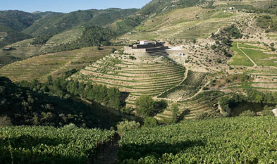 Niepoort
